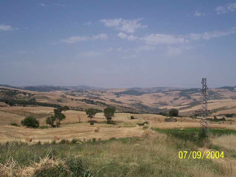 s-100_1416.jpg