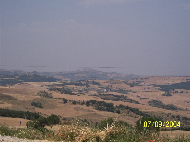 s-100_1418.jpg