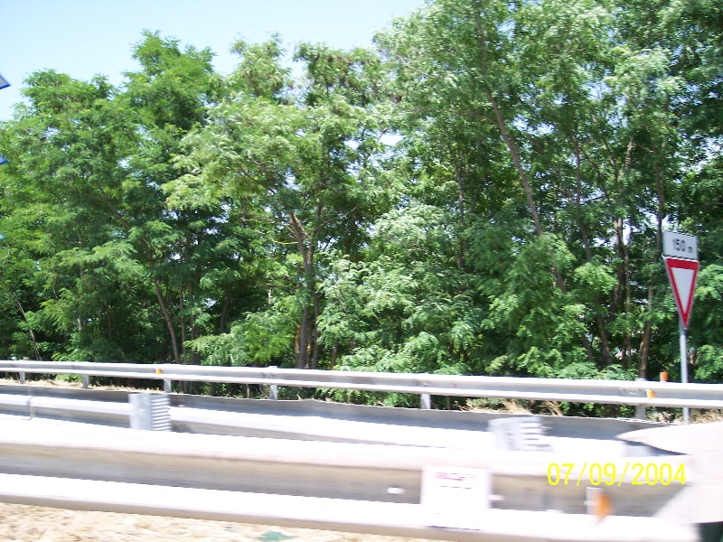 s-100_1425.jpg