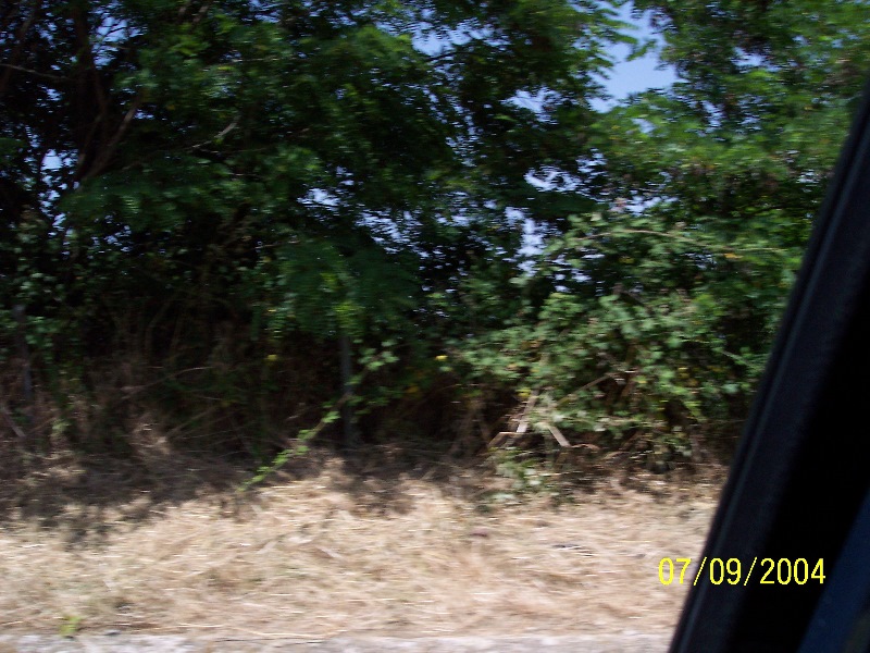 s-100_1426.jpg