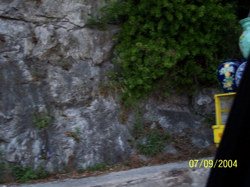 s-100_1447.jpg