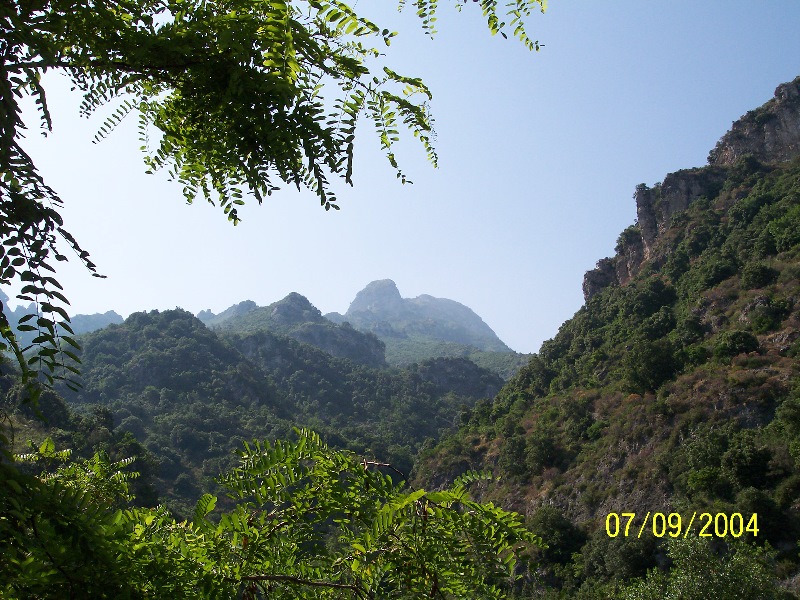 s-100_1482.jpg
