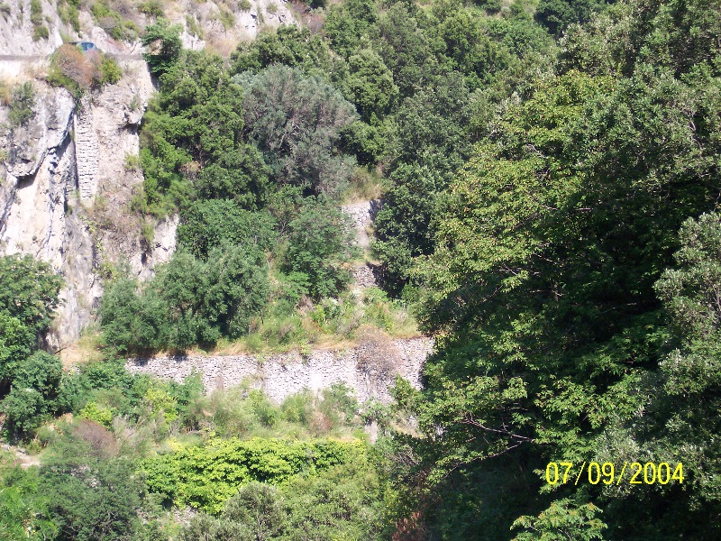 s-100_1484.jpg