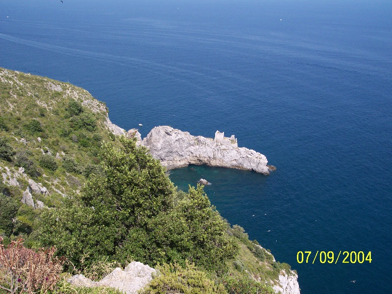s-100_1486.jpg