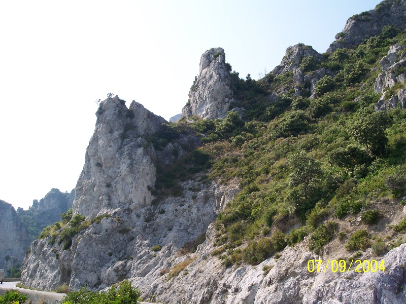 s-100_1496.jpg
