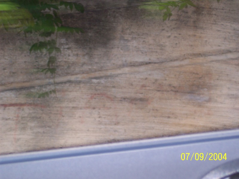 s-100_1553.jpg