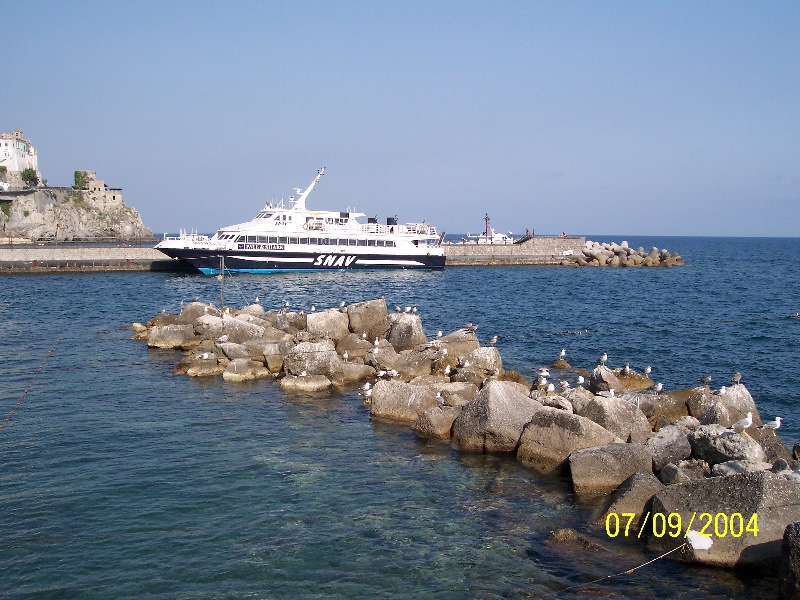 s-100_1567.jpg