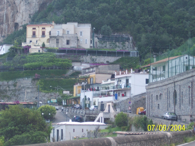 s-100_1587.jpg