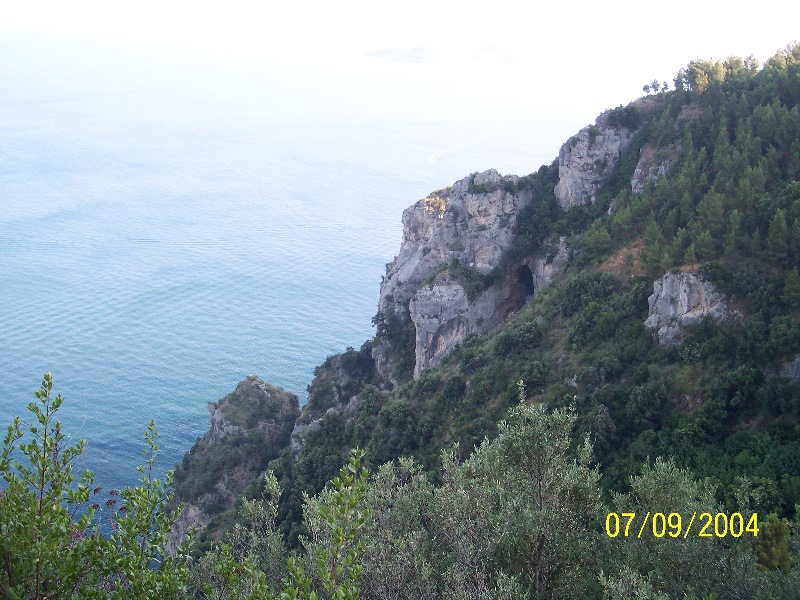 s-100_1619.jpg