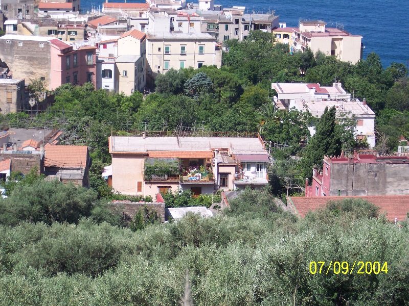 s100_1656.jpg