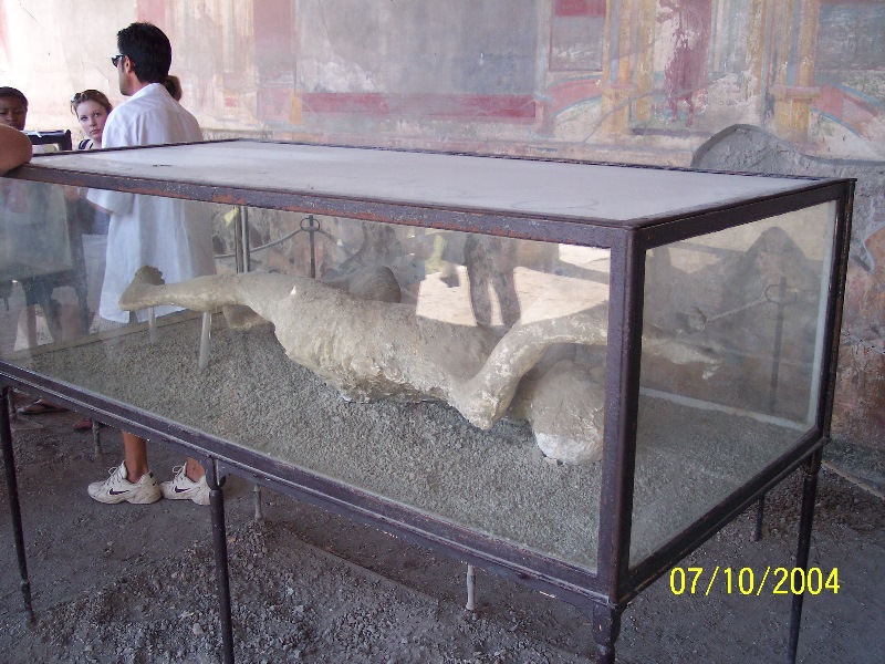s100_1699.jpg