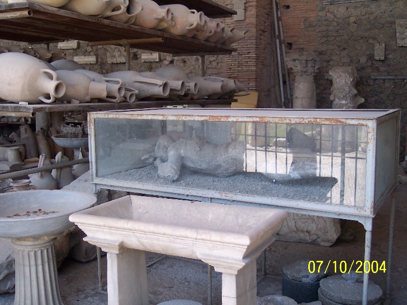 s100_1708.jpg