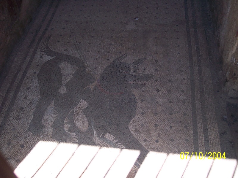 s100_1714.jpg