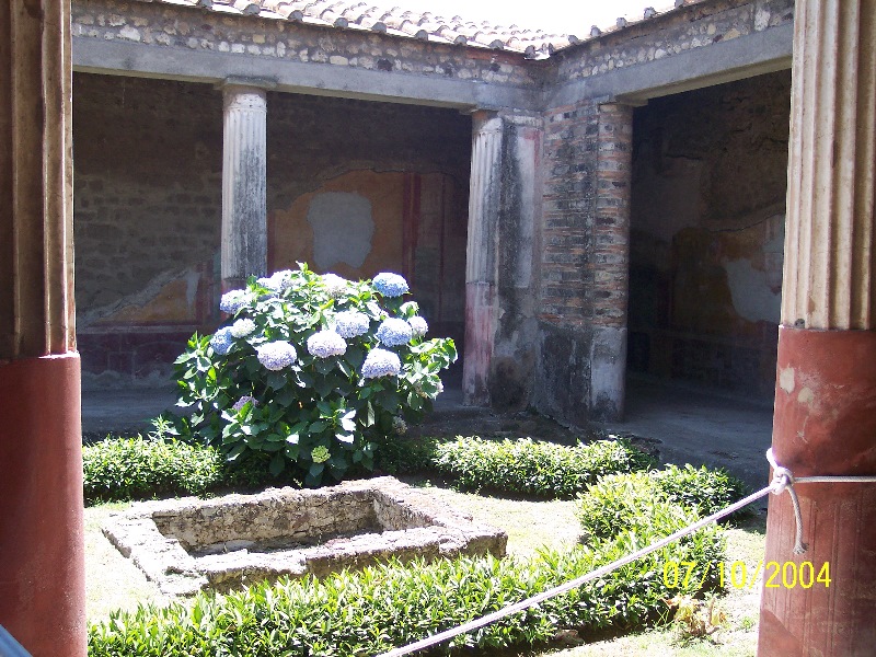 s100_1736.jpg