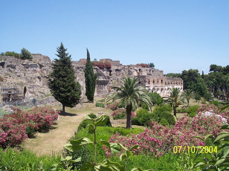 s100_1767.jpg