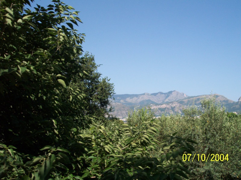 s100_1795.jpg