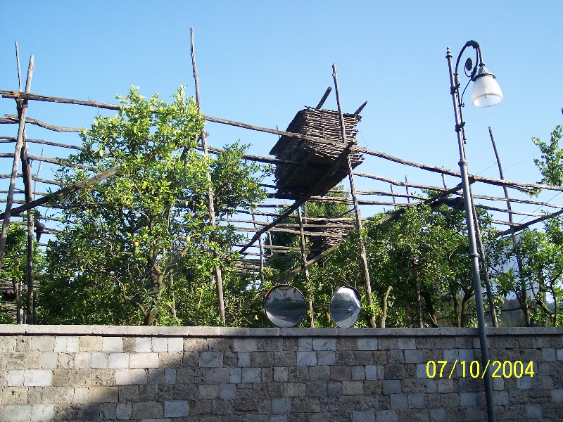 s100_1806.jpg