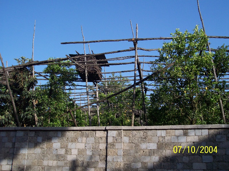 s100_1807.jpg