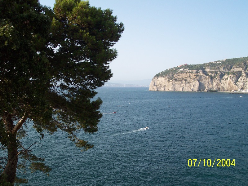 s100_1811.jpg