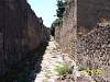 s100_1760.jpg