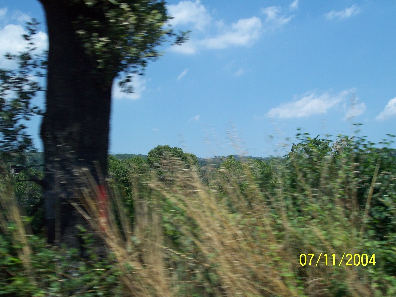 s-100_1832.jpg