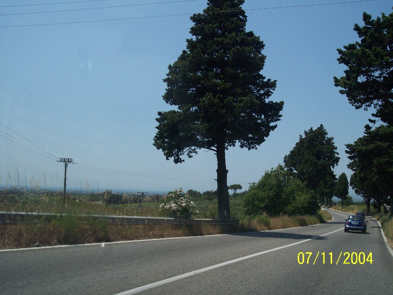 s-100_1838.jpg