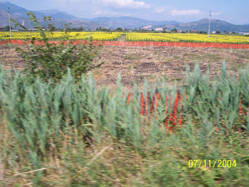 s-100_1901.jpg
