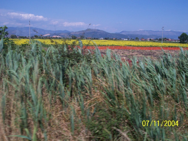 s-100_1902.jpg