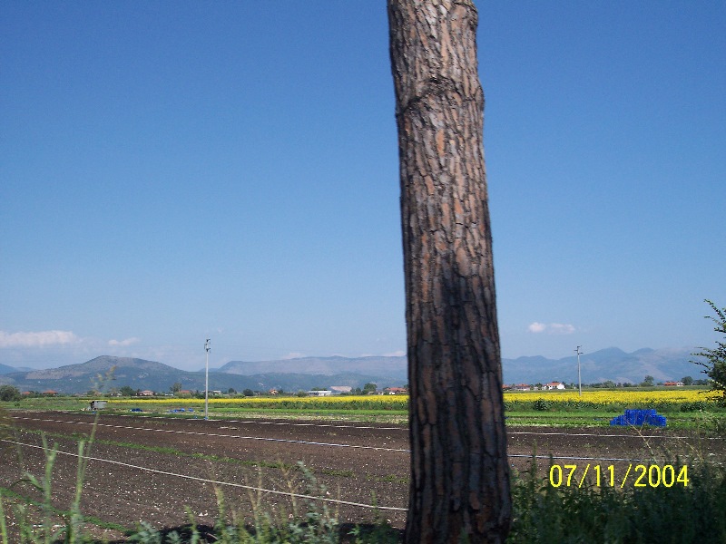 s-100_1903.jpg