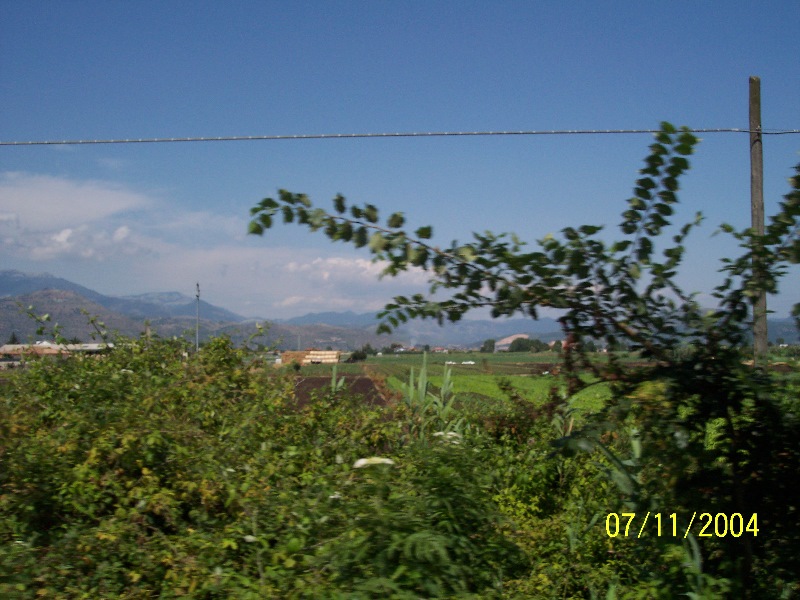 s-100_1905.jpg