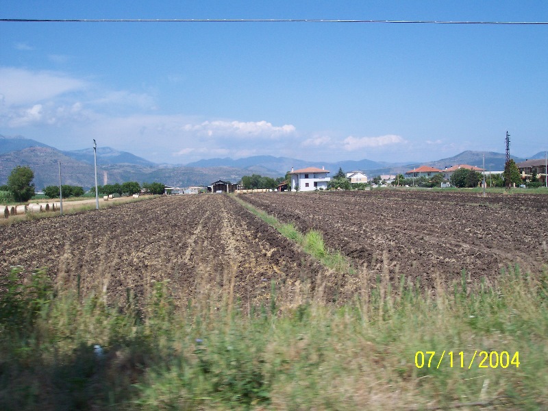 s-100_1906.jpg