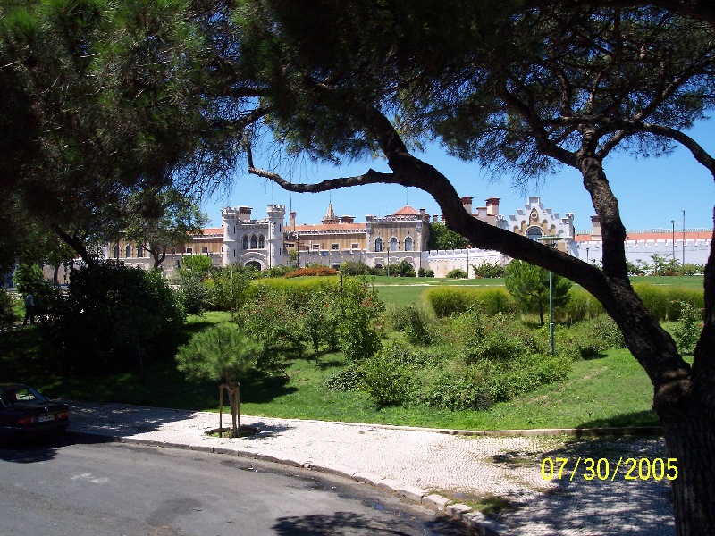 s-100_2362.jpg