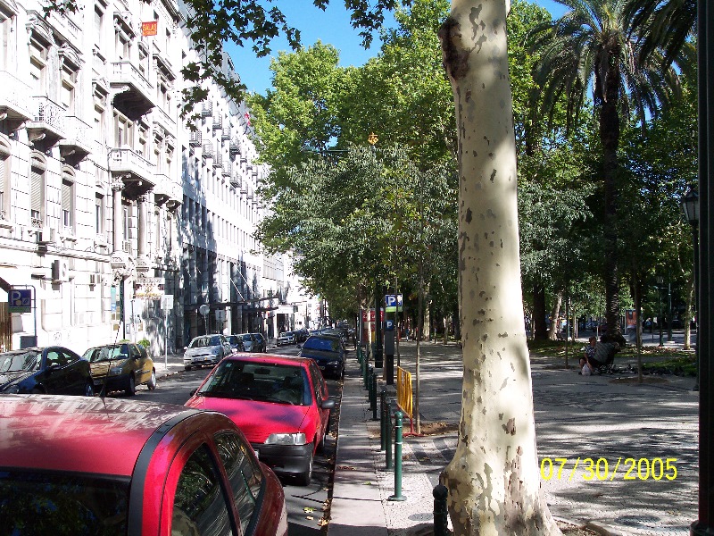 s-100_2478.jpg