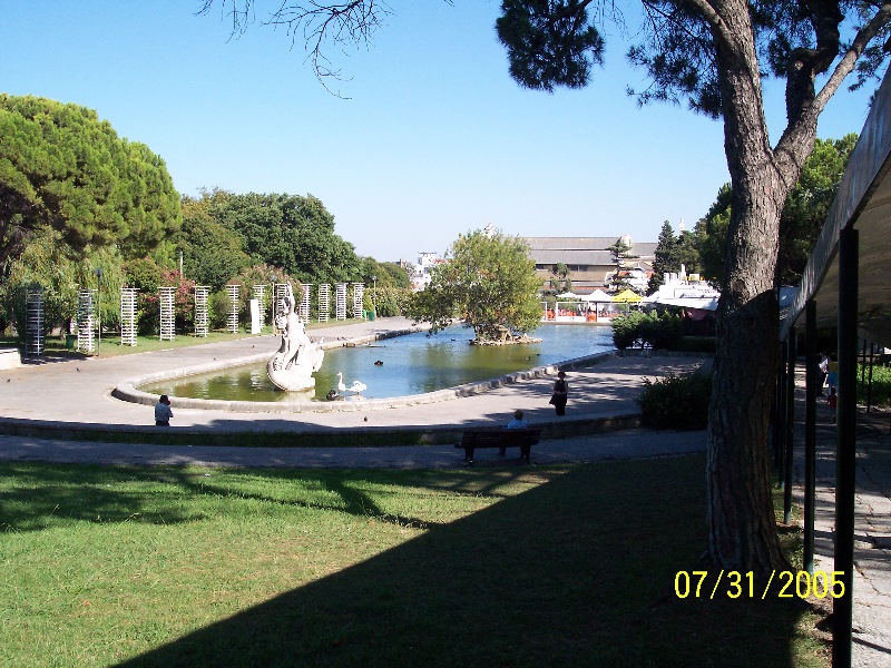 s-100_2562.jpg
