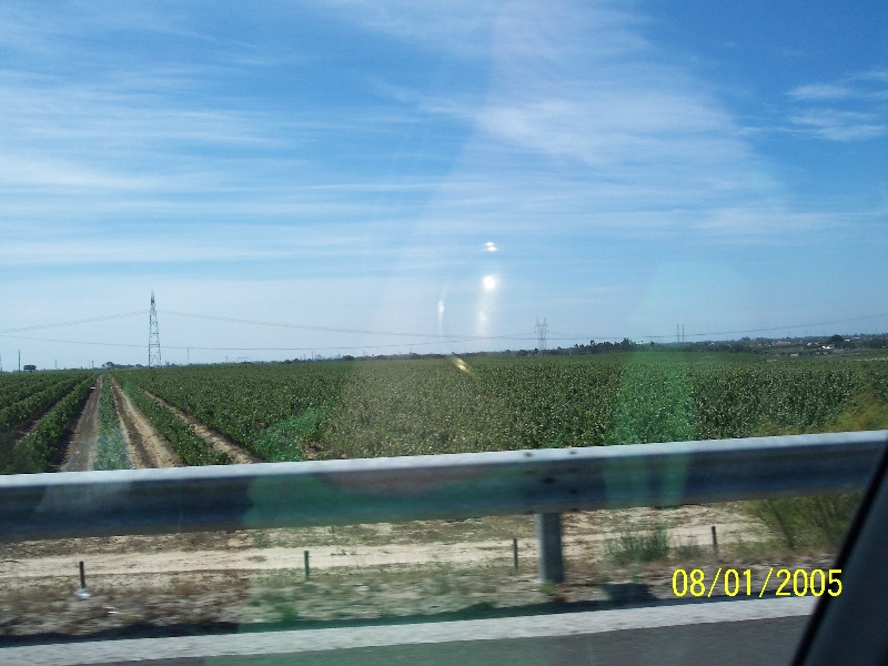 s-100_2578.jpg