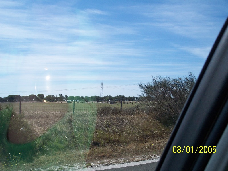 s-100_2579.jpg