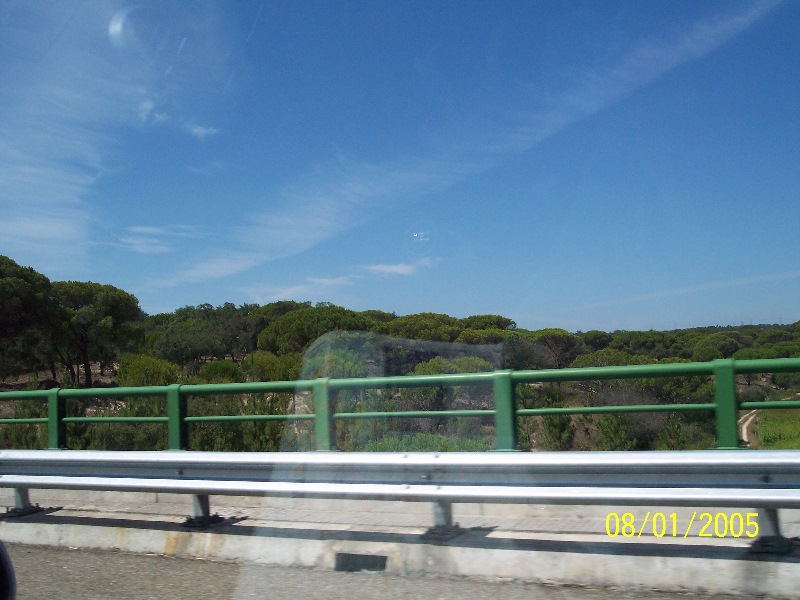 s-100_2581.jpg