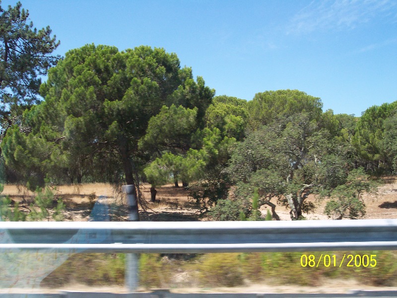 s-100_2582.jpg
