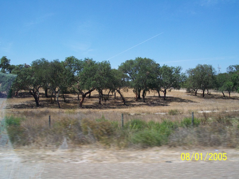 s-100_2583.jpg