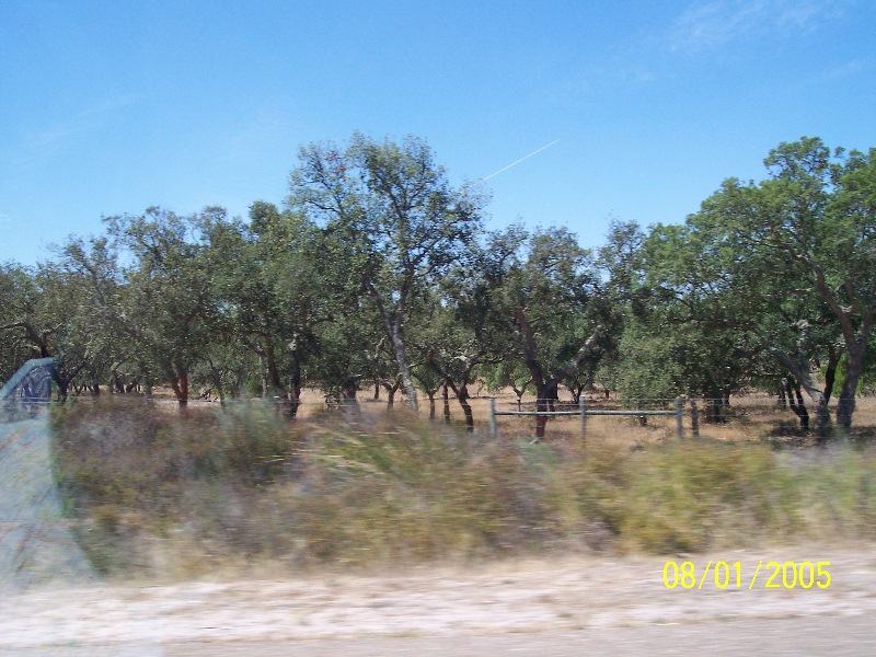 s-100_2584.jpg