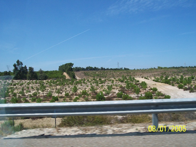 s-100_2585.jpg