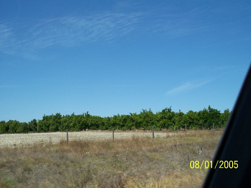 s-100_2586.jpg