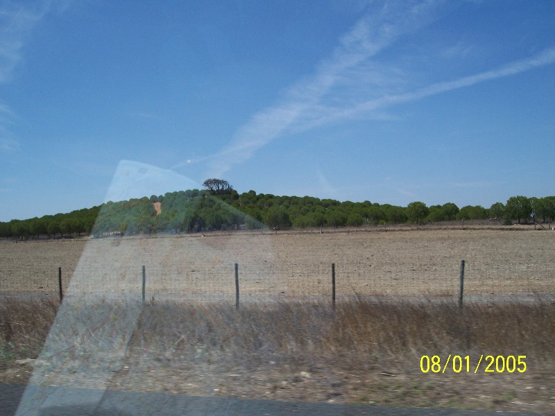 s-100_2593.jpg