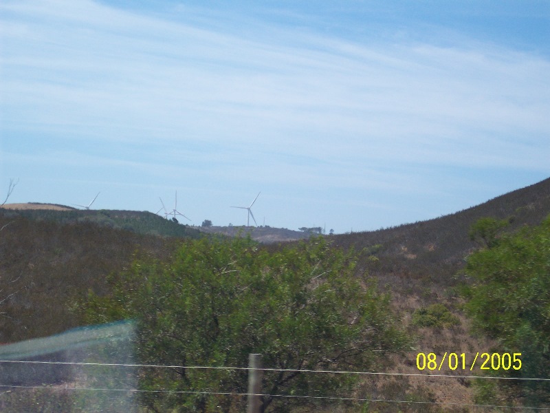 s-100_2638.jpg