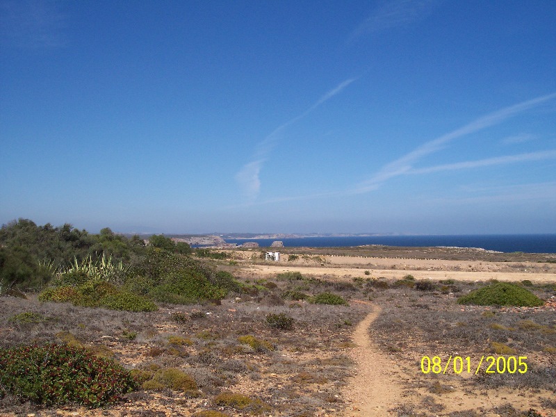 s-100_2671.jpg