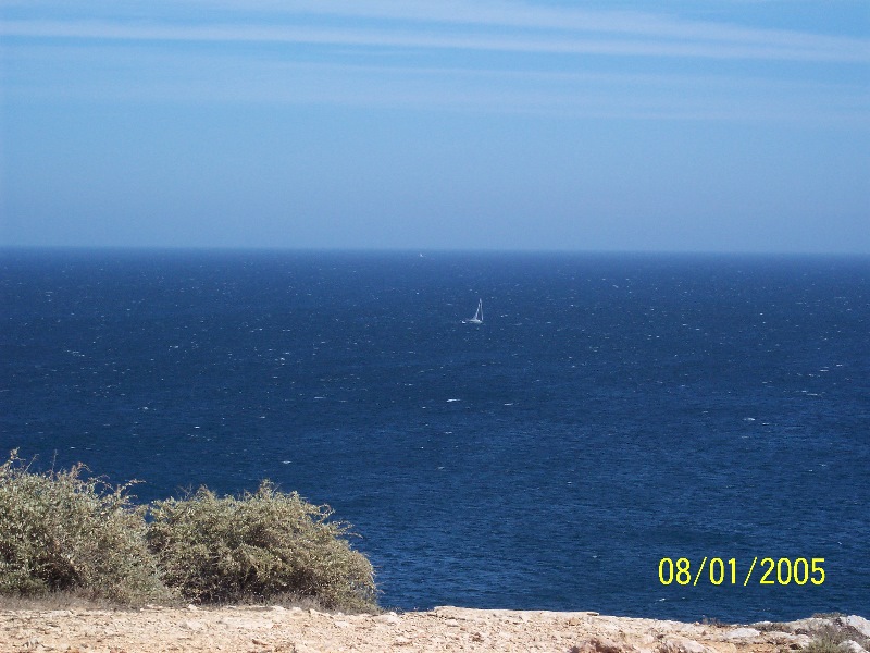 s-100_2684.jpg