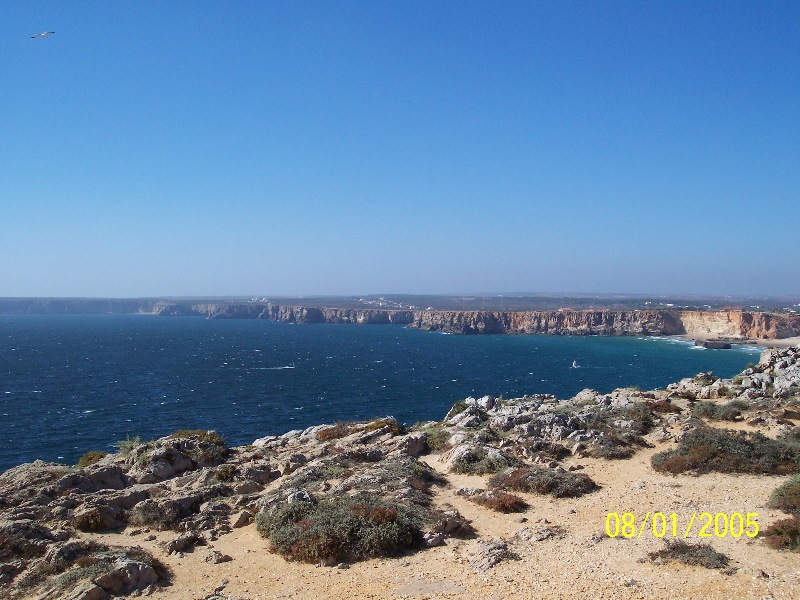 s-100_2720.jpg