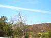 s100_2641.jpg