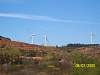 s100_2642.jpg