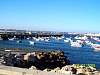 s100_2733.jpg